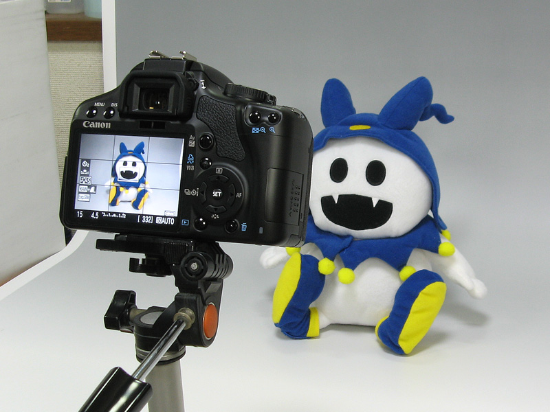 Canon EOS Kiss X2 購入