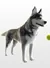 Husky