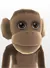 サル